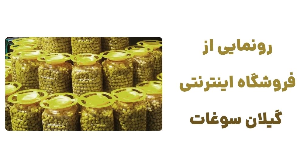 رونمایی از وبسایت گیلان سوغات، فروشگاه اینترنتی سوغات گیلان
